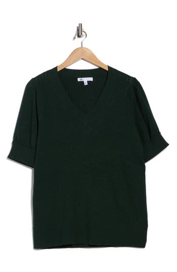 Dr2 By Daniel Rainn V-neck Short Sleeve Pointelle Sweater In Green