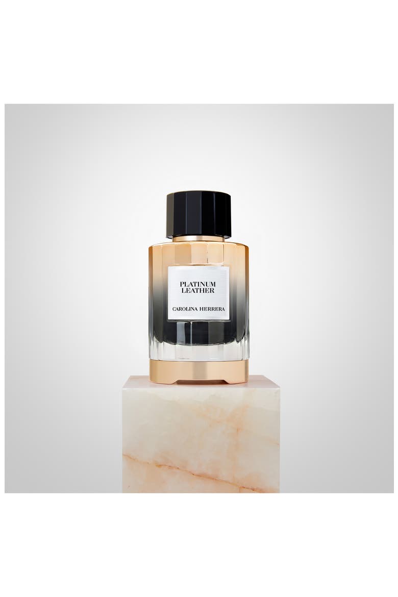 Platinum Leather Eau de Parfum (Nordstrom Exclusive), Alternate, color, NO COLOR
