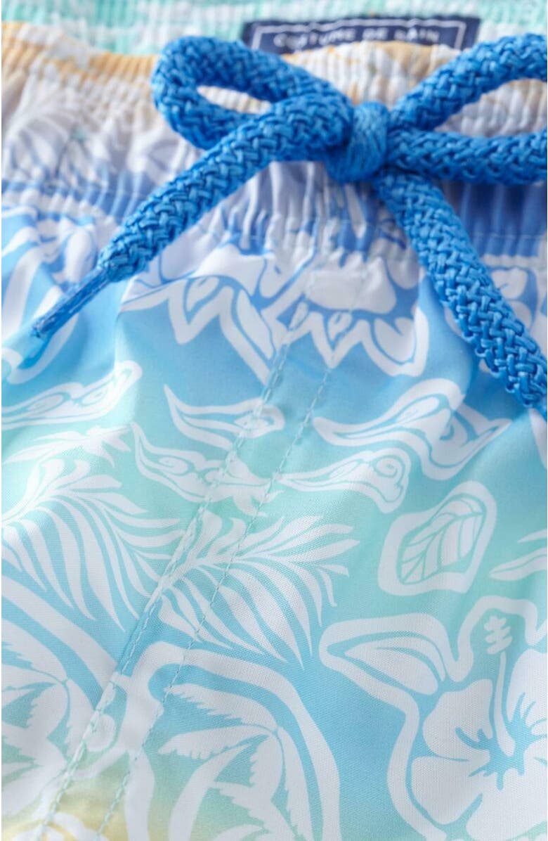 Vilebrequin Kids' Tahiti Turtles Ultra-Light And Packable Swim Trunks, Alternate, color,