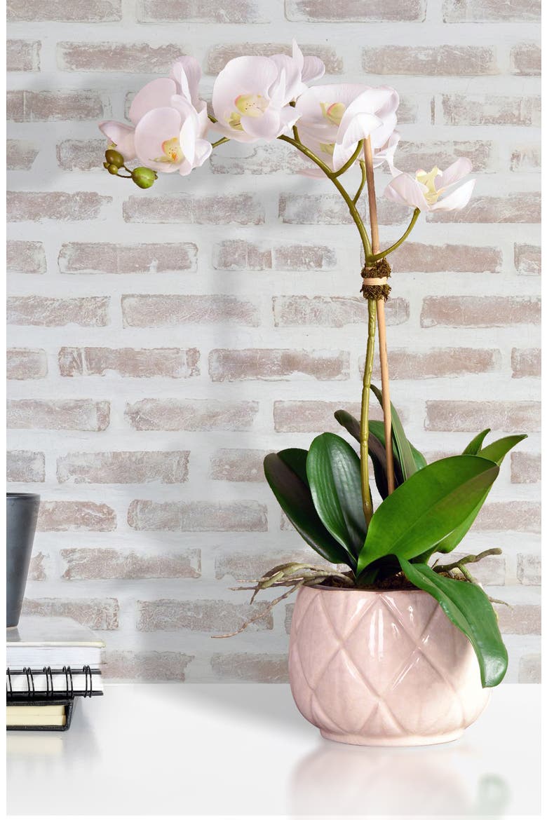 Stella Orchid Planter Decoration, Alternate, color, WHITE SMALL