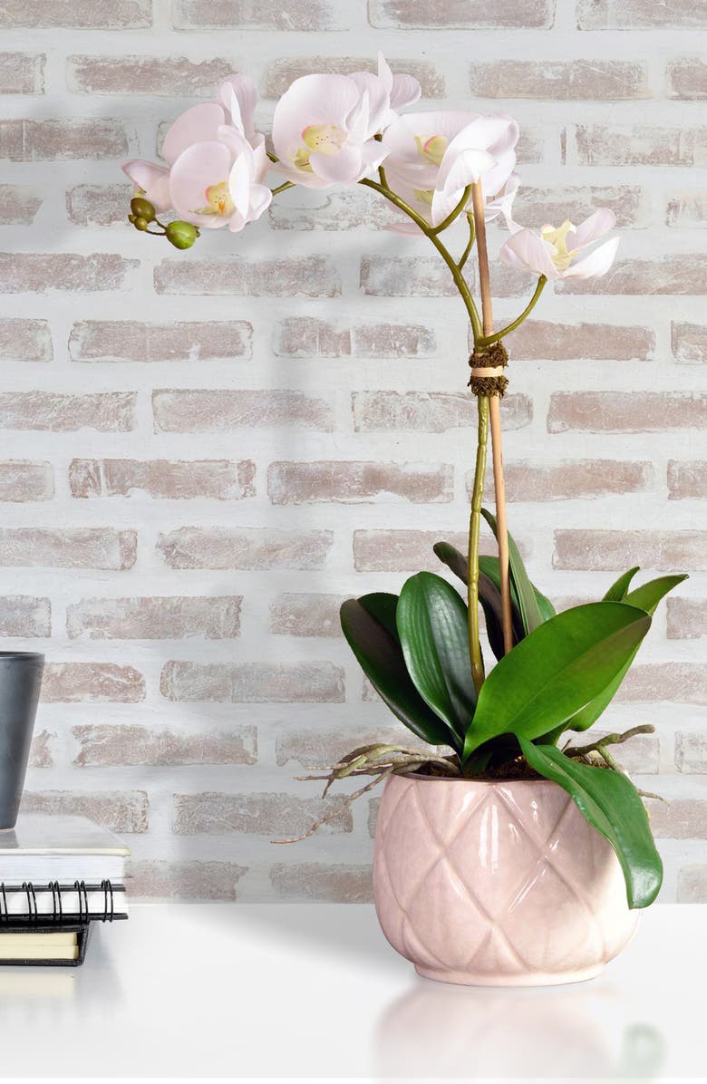 Bloomr Stella Orchid Planter Decoration, Alternate, color, 