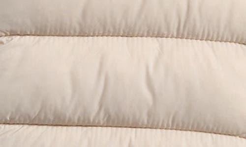 Save The Duck Storm Quilted Bunting In Brown