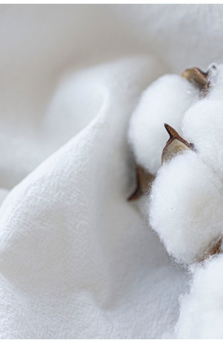 Pillowpia Pillow Insert 12 x 20, Alternate, color, White