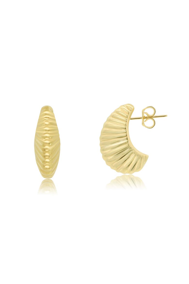 Seashell C-Hoop Earrings, Main, color, Yellow Gold