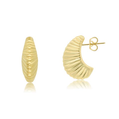 Seashell C-Hoop Earrings