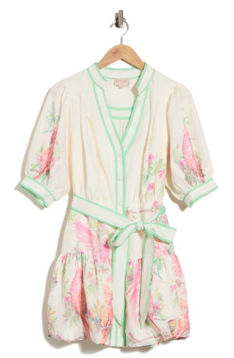 Ashton Tie Waist Shirtdress