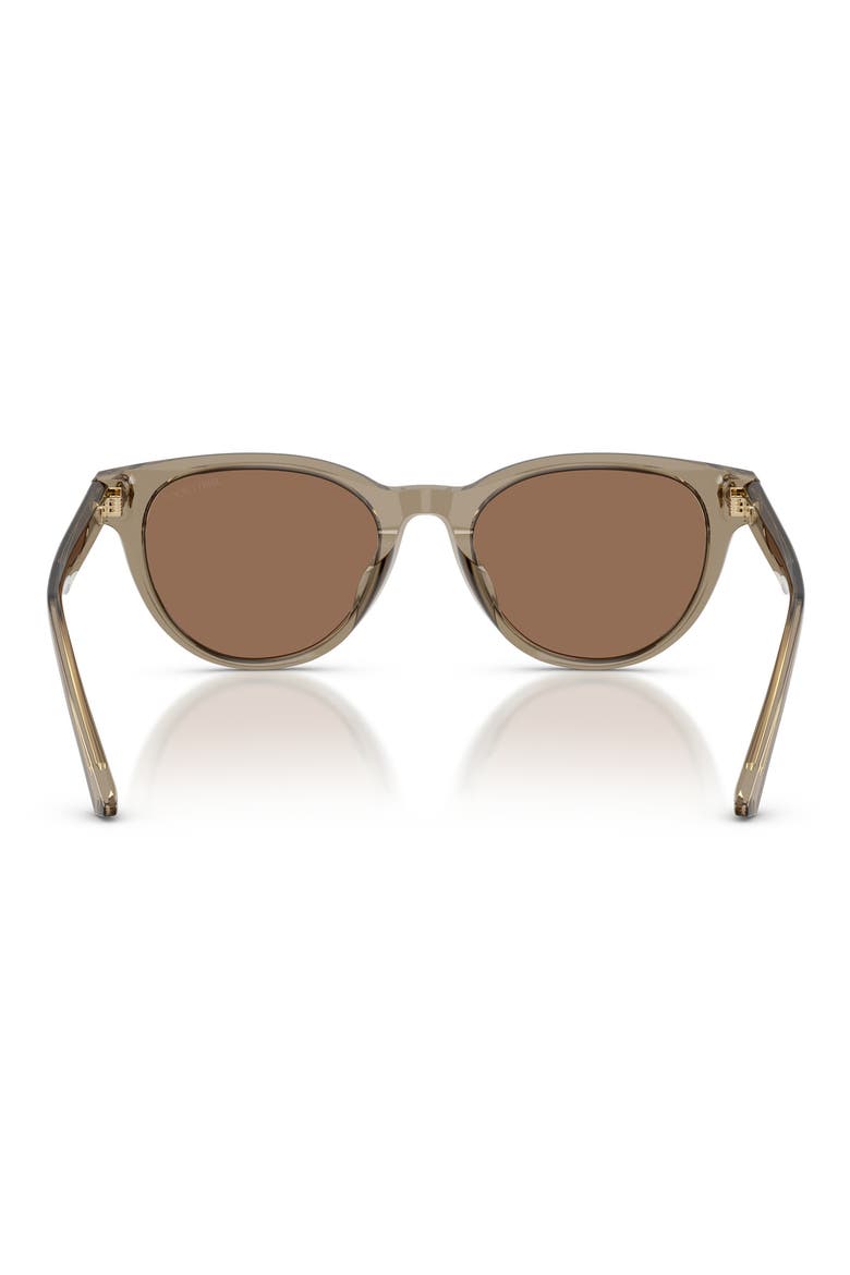 Trace 53mm Phantos Sunglasses, Alternate, color, TRANSPARENT BROWN / DARK BROWN