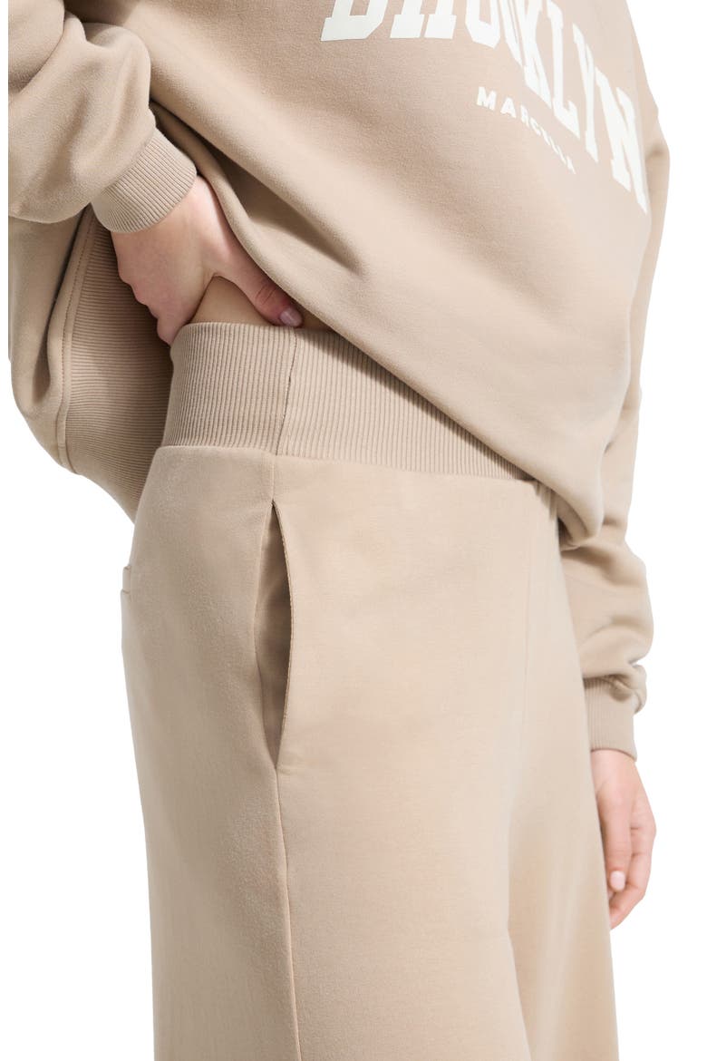 Easton Wide Leg Sweatpants, Alternate, color, SAND