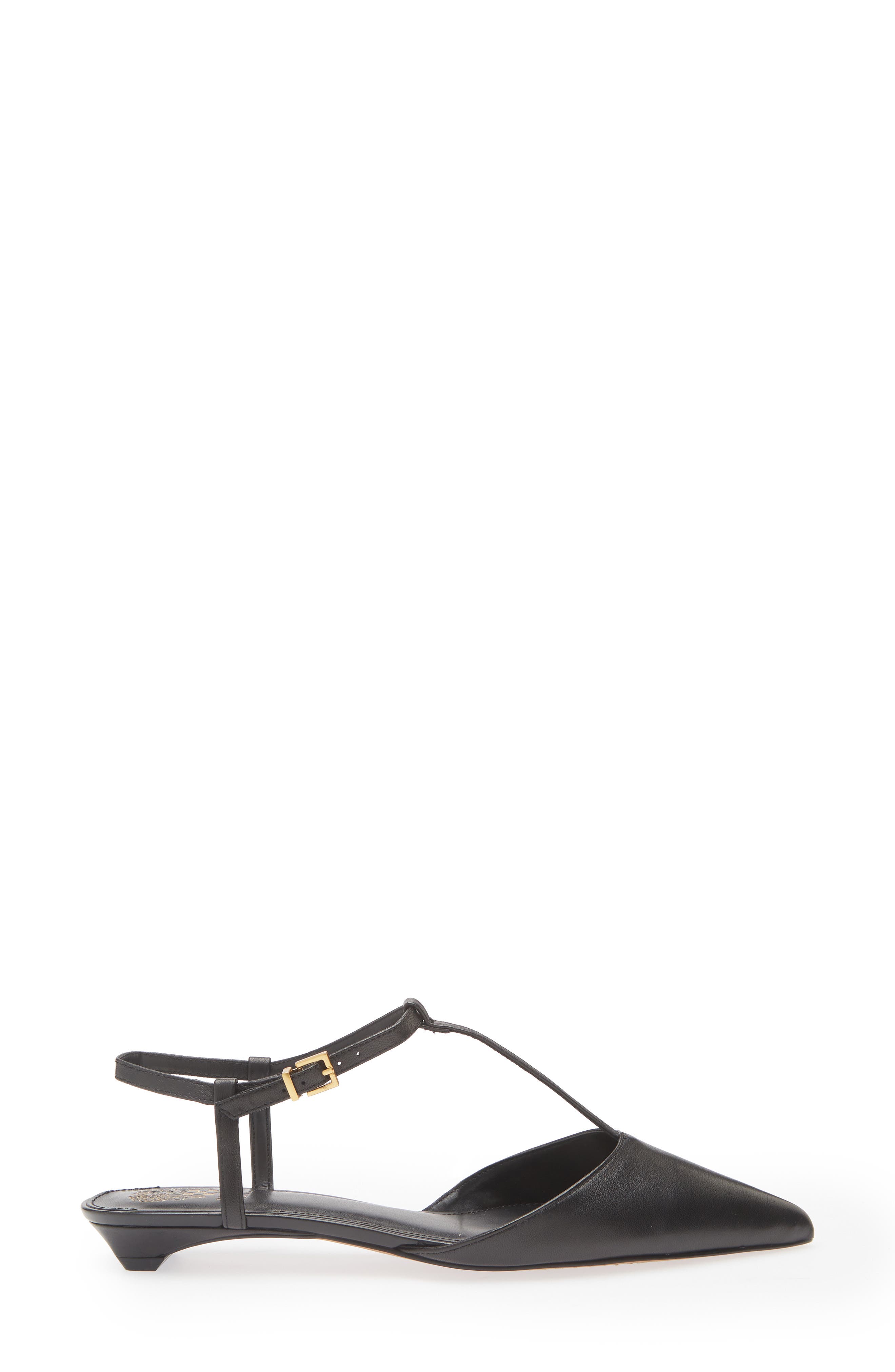 Vince Camuto Varena Ankle Strap Pointed Toe Flat, Alternate, color, Black