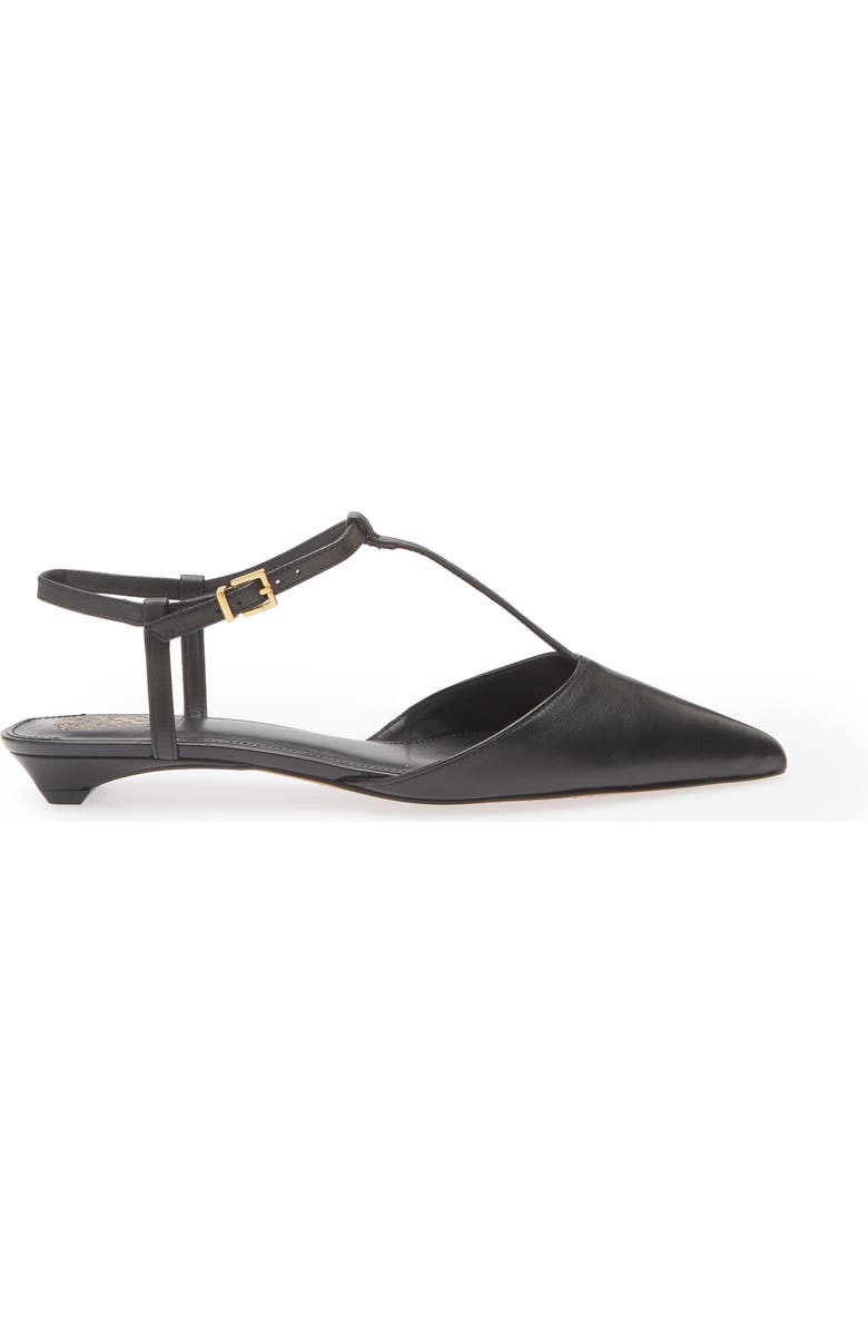 Vince Camuto Varena Ankle Strap Pointed Toe Flat, Alternate, color, Black