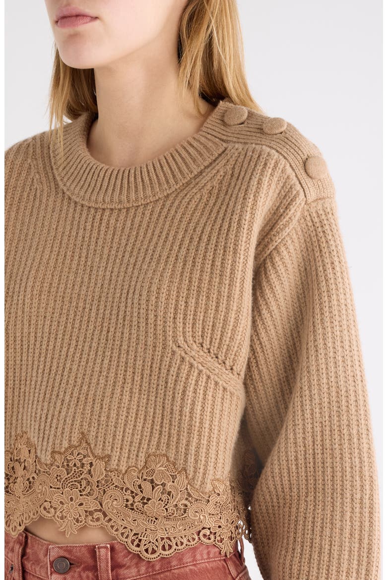 Guipure Lace Hem Wool & Cashmere Crop Sweater, Alternate, color, BLEACHED BROWN