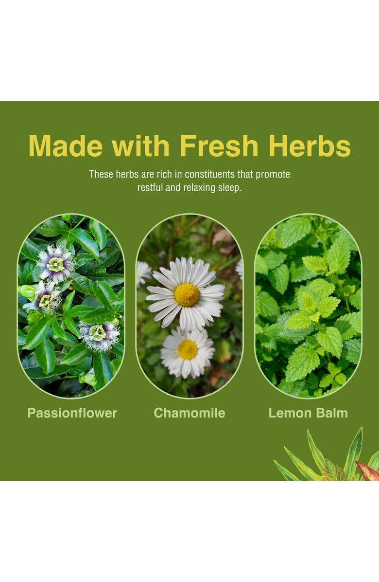 Herbs Etc. Deep Sleep Herbal Sleep Support Softgels, 120 Count, Alternate, color, NO COLOR