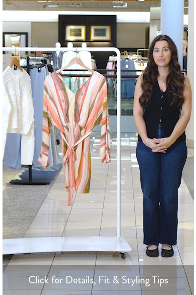 Julianna Stripe Long Sleeve Minidress video