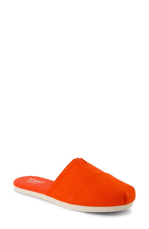 TOMS TOMS ALPARGATA MULE