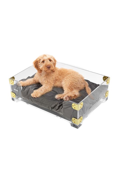 Haines 21.5" x 15.25" Small/Medium Modern Lucite Velvet Pet Bed with Washable Cushion