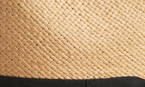 Nordstrom Paper Straw Panama Hat