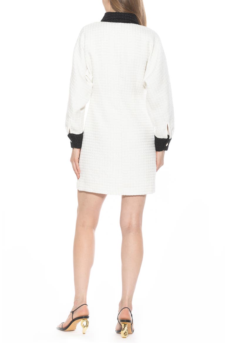 Velvette Long Sleeve Mini Tweed Shirtdress, Alternate, color, IVORY