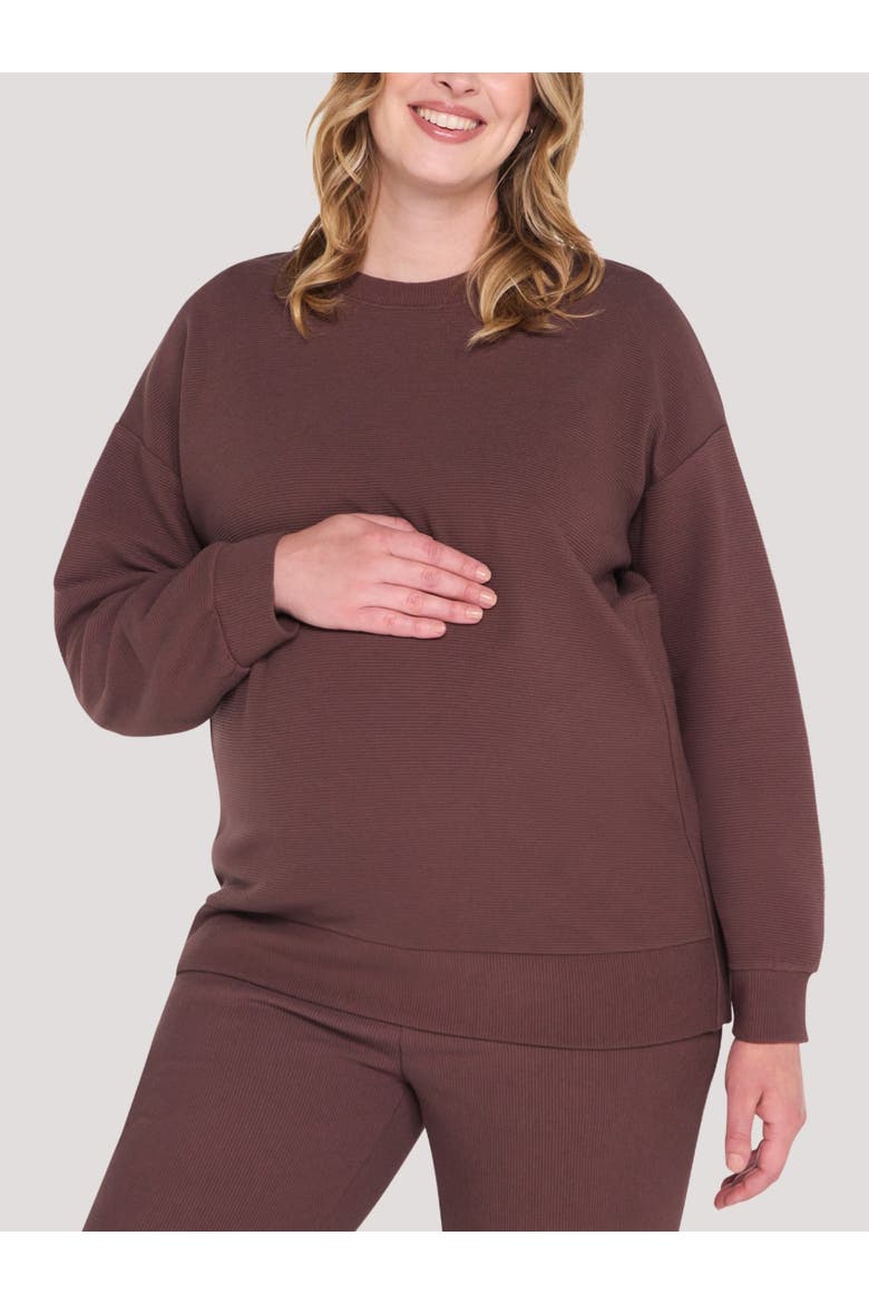 Crew Neck Long Sleeve Side Zip Tunic, Main, color, French Roast