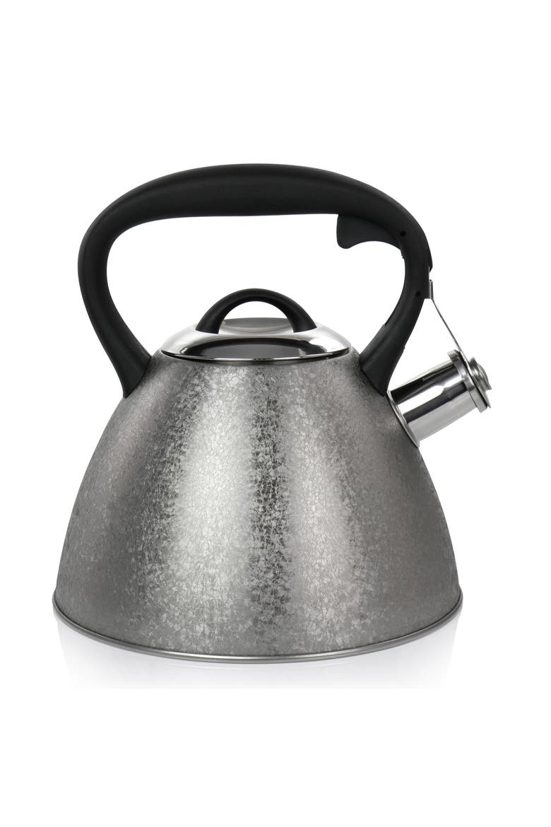 2.5 Quart Stainless Steel Whistling Tea Kettle, Alternate, color, Silver