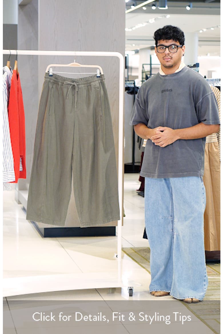 Stripe Cotton Blend Barrel Leg Pants video