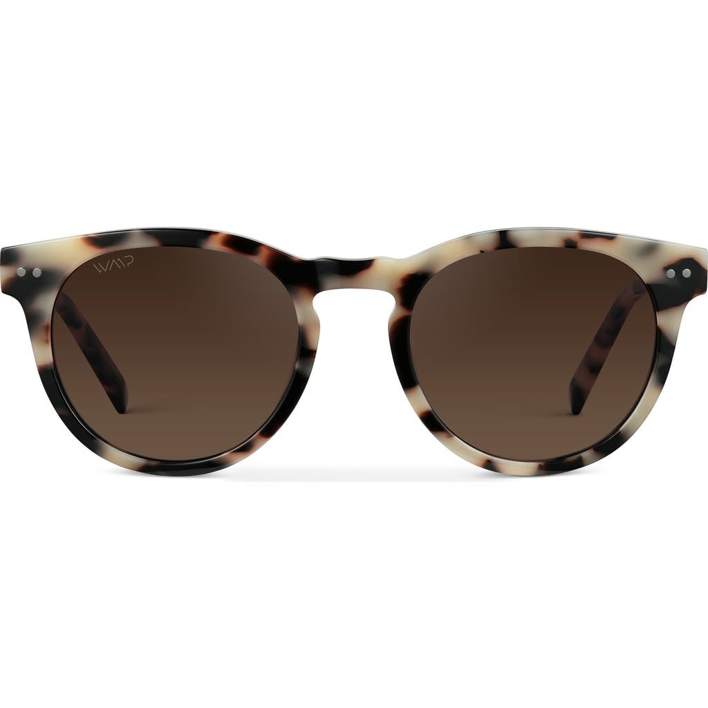 Wmp Eyewear Tate In Multi