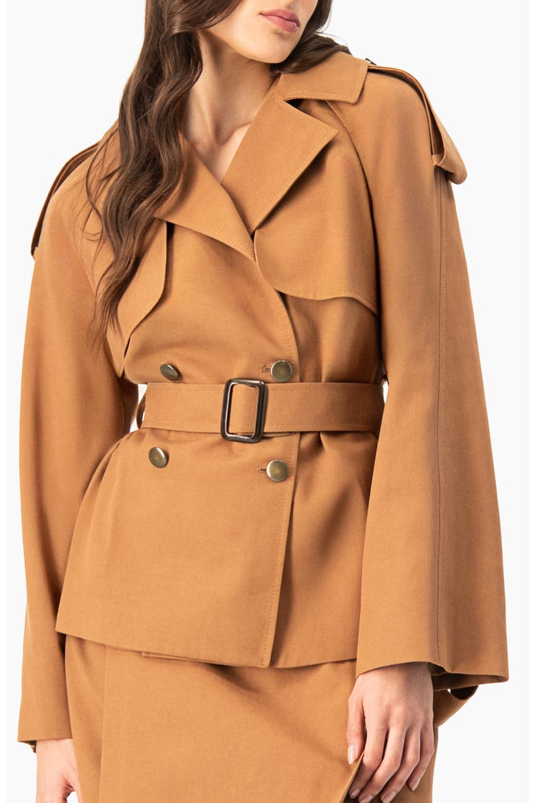 Short Double-Breasted Trench Coat, Main, color, Brown