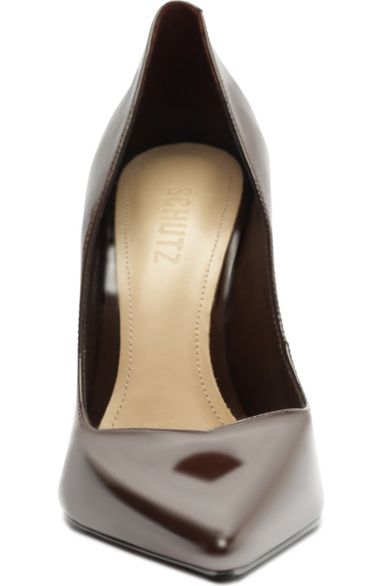 Schutz Lexi Pointed Toe Pump, Alternate, color, Chestnut Brown