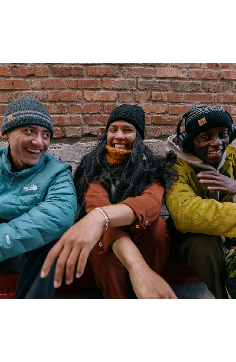 Turtle Fur Zelda Beanie, Alternate, color, Black