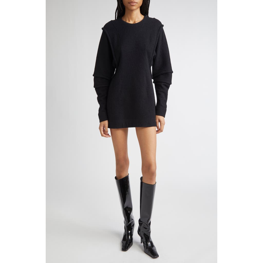 Eckhaus Latta Pallas Long Sleeve Boiled Wool & Cotton Minidress In Black