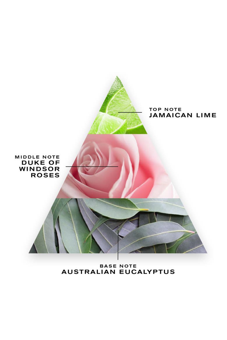 Royal Mayfair Fragrance, Alternate, color, NO COLOR
