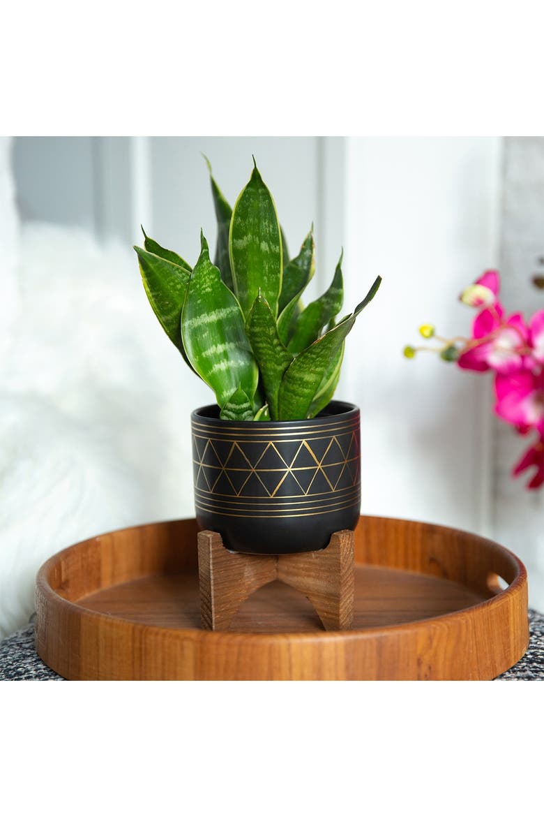 Black/Gold Geo Planter on Wood Stand, Alternate, color, BLACK/GOLD