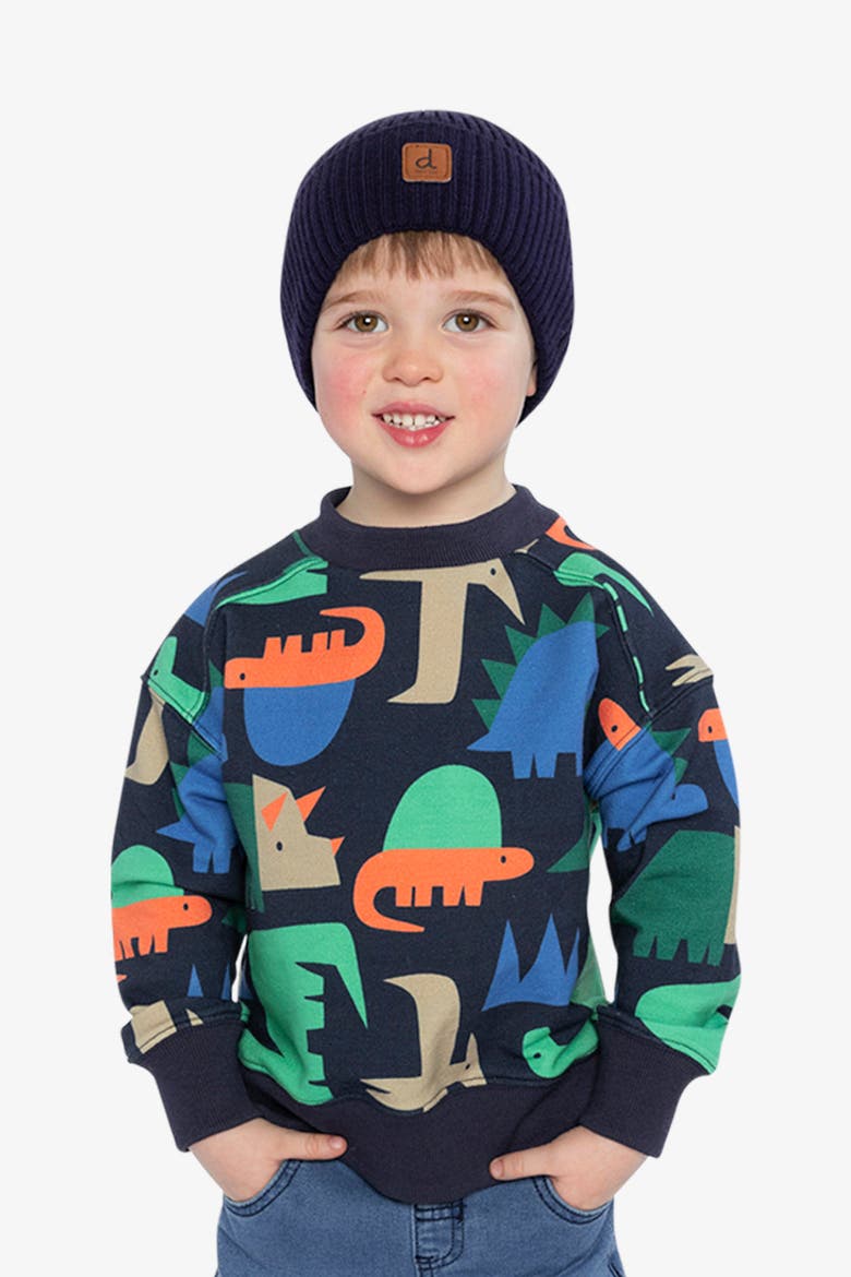 Dinosaur Ribbed Cuffs Fleece Sweatshirt, Alternate, color, Blue Dinosaur Print