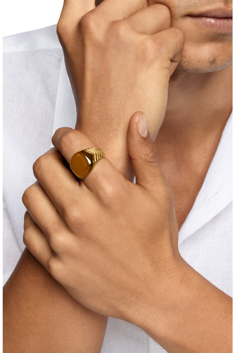 Chevron Signet Ring in 18K Yellow Gold with Tiger's Eye, Alternate, color, GOLD