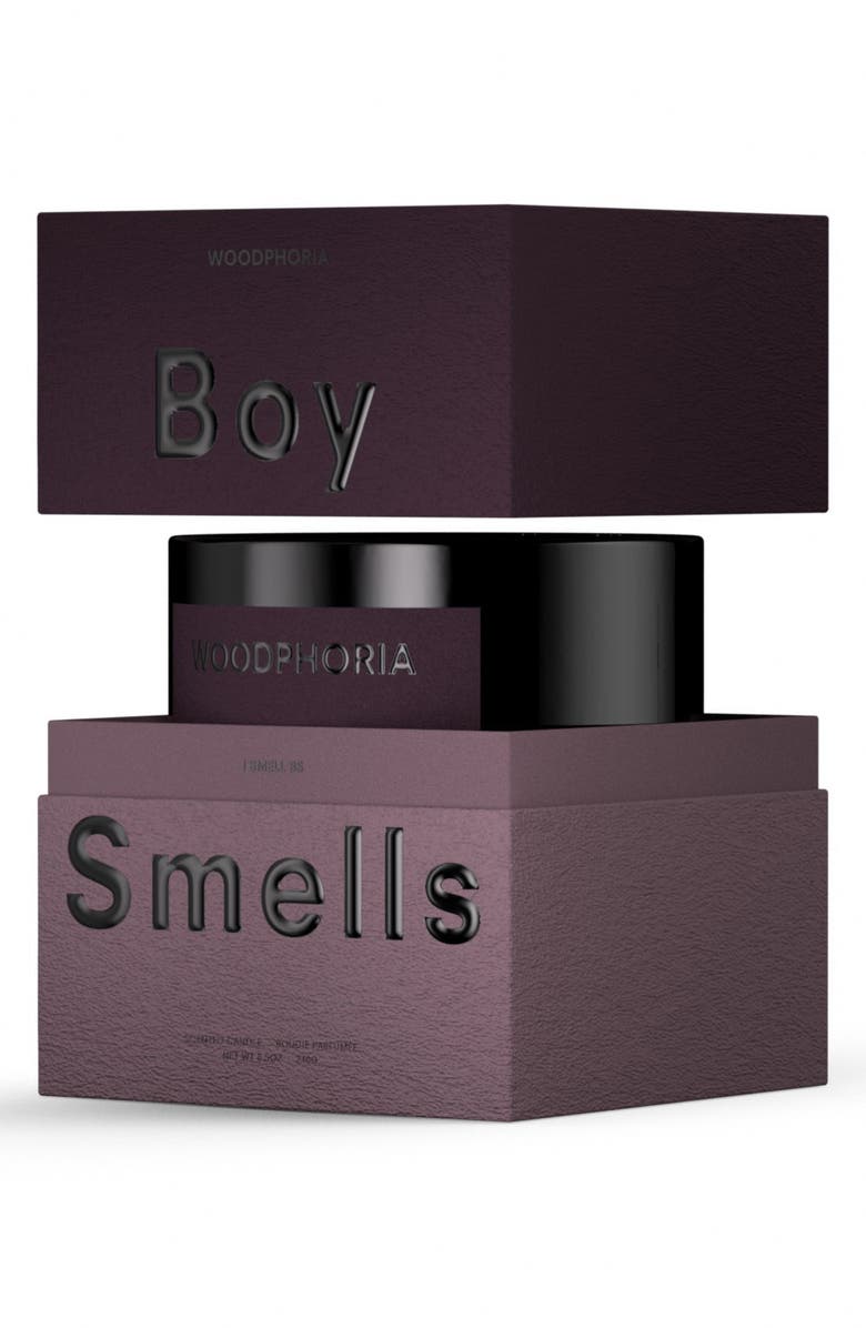 Boy Smells Woodphoria Candle, Alternate, color, 