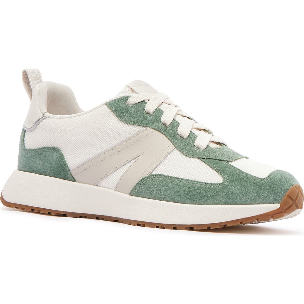 Frankie4 Axel Ii Sneaker