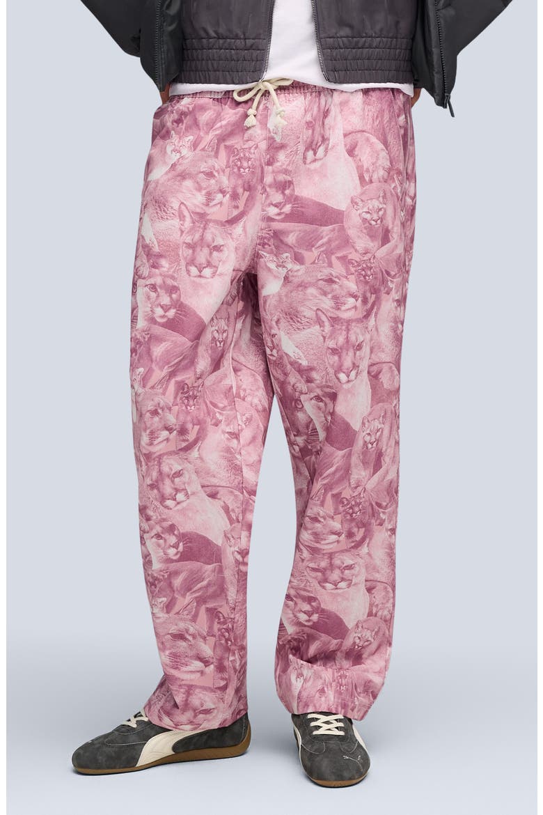 Special Items Allover Cat Print Drawstring Pants, Main, color, POISED PINK