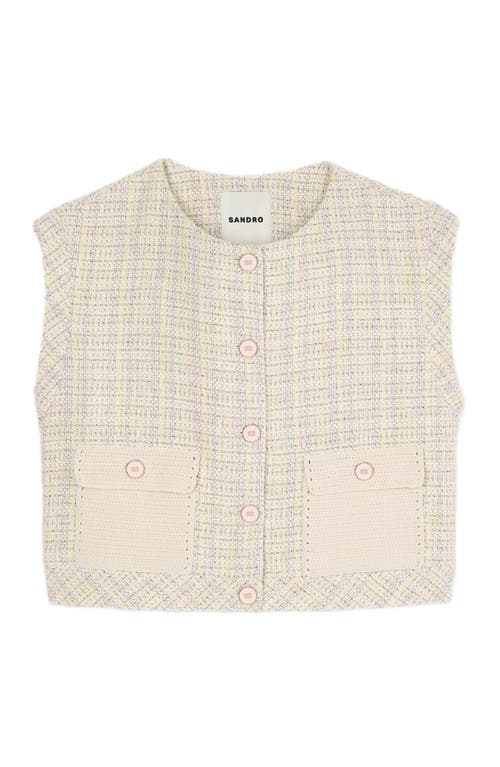 Sandro Decorative Tweed Jacket In Neutral
