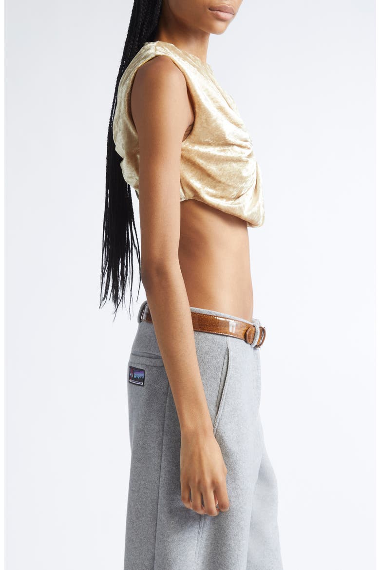 Tilda Velvet Cushion Crop Top, Alternate, color, GOLD