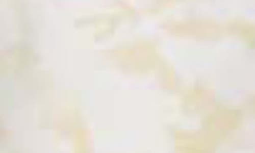 Gramicci Canvas Pants In Neutral