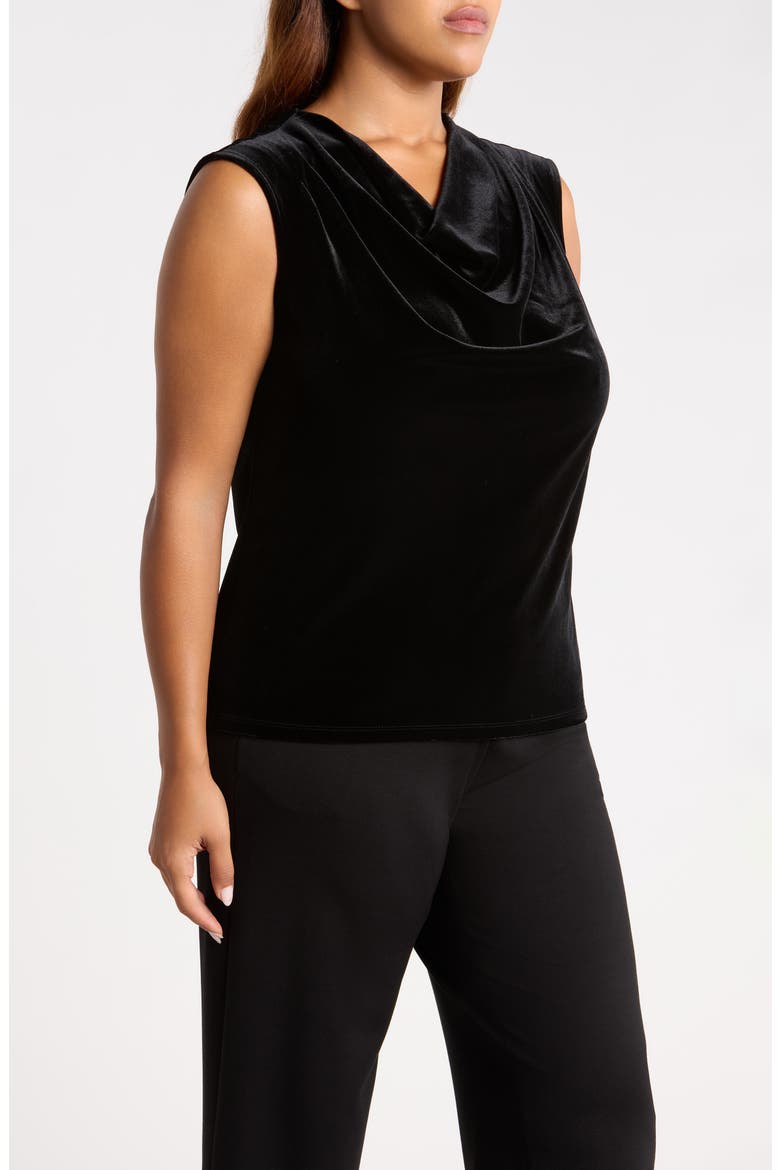 Cowl Neck Velvet Top, Alternate, color, ANNE BLACK