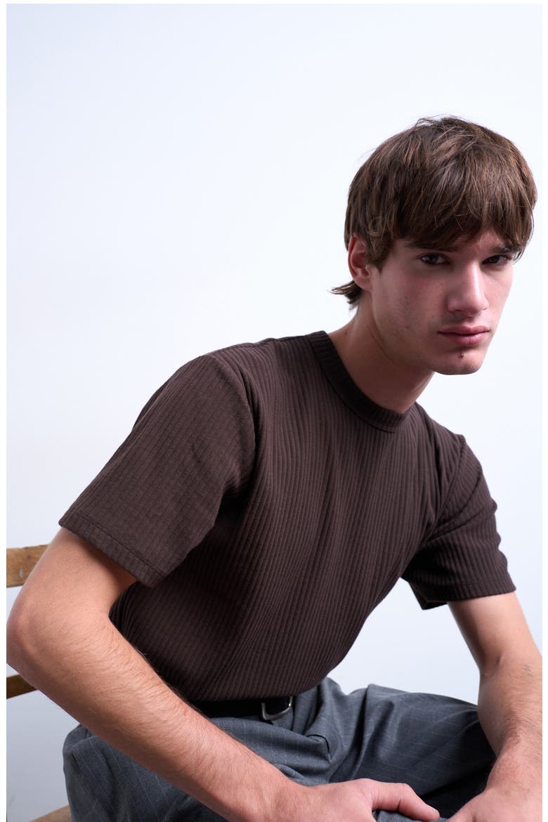 Heavyweight Rib T-Shirt, Alternate, color, BROWN