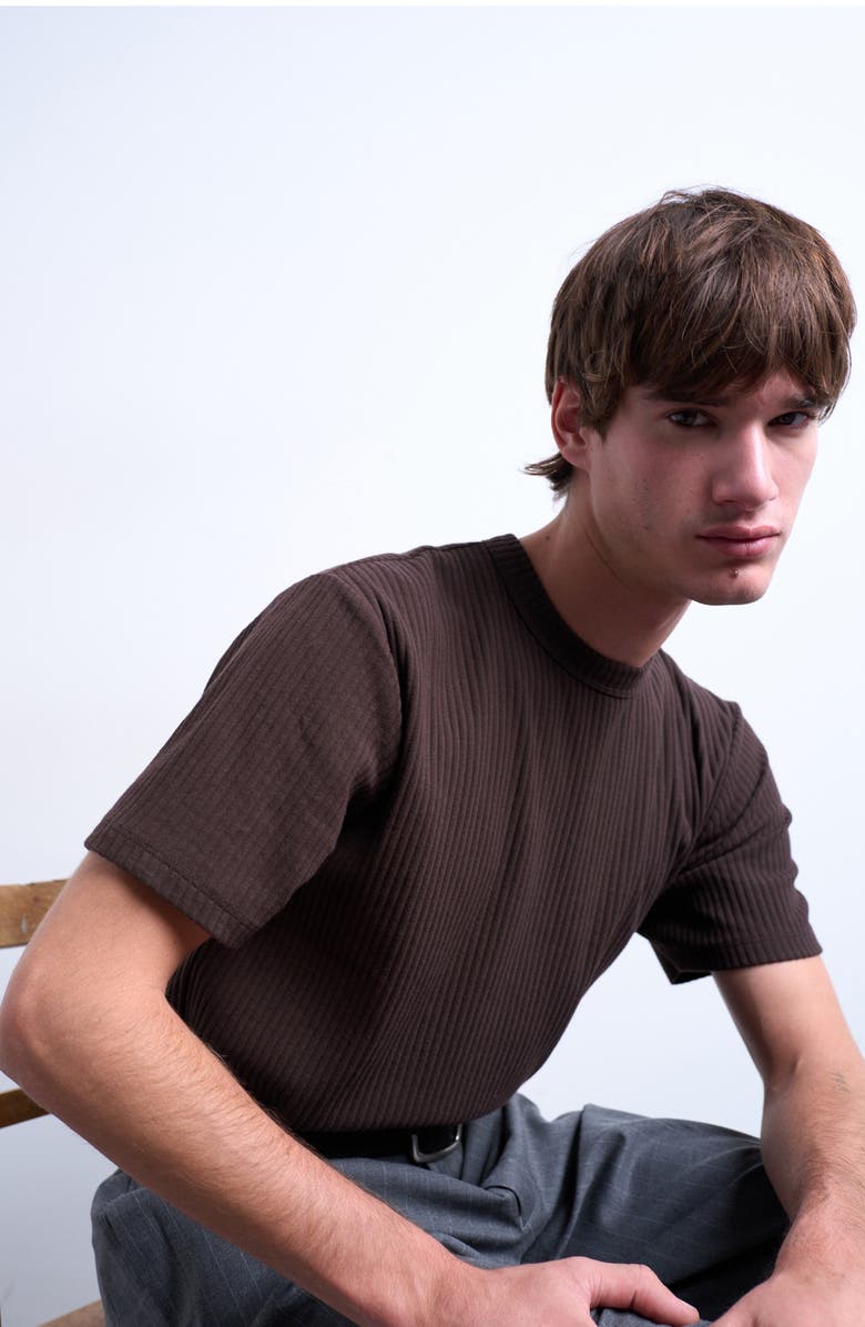 Topman Heavyweight Rib T-Shirt, Alternate, color, Brown