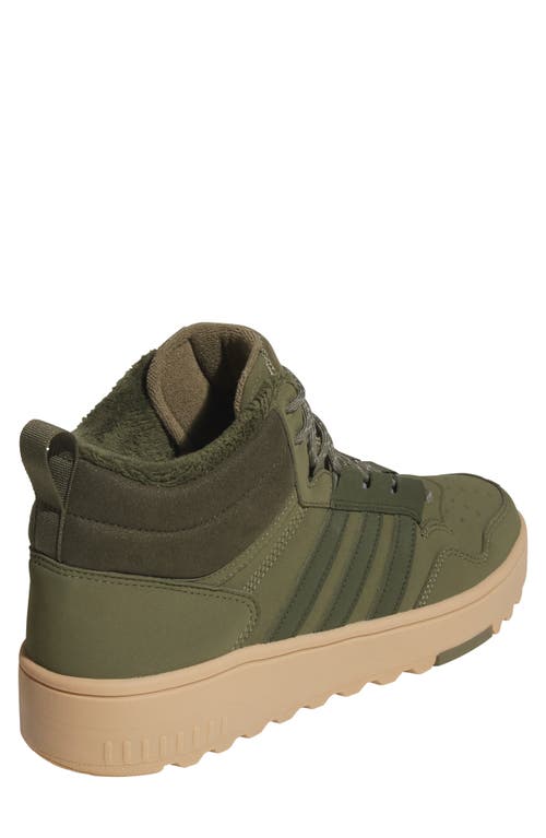 Adidas Originals Adidas Hoops 4.0 Winterized Basketball Sneaker In Green