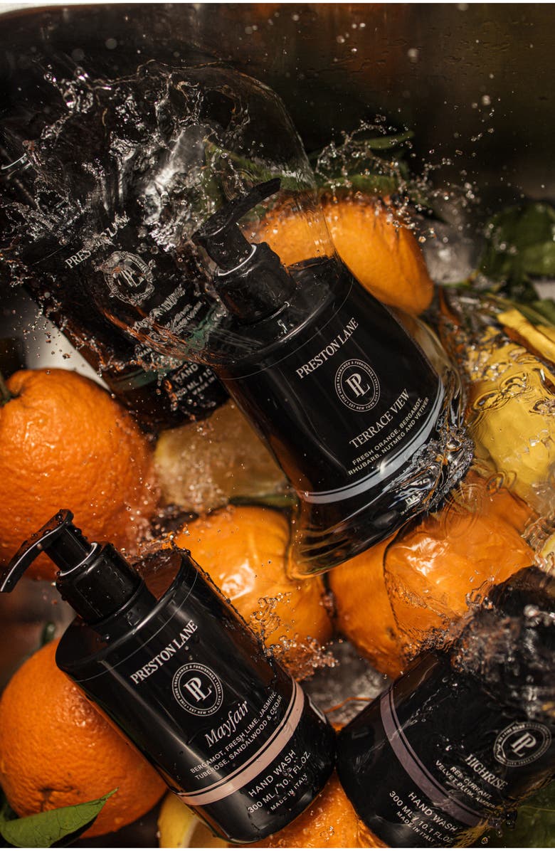 Preston Lane Terrace View Hand Wash, Alternate, color, 