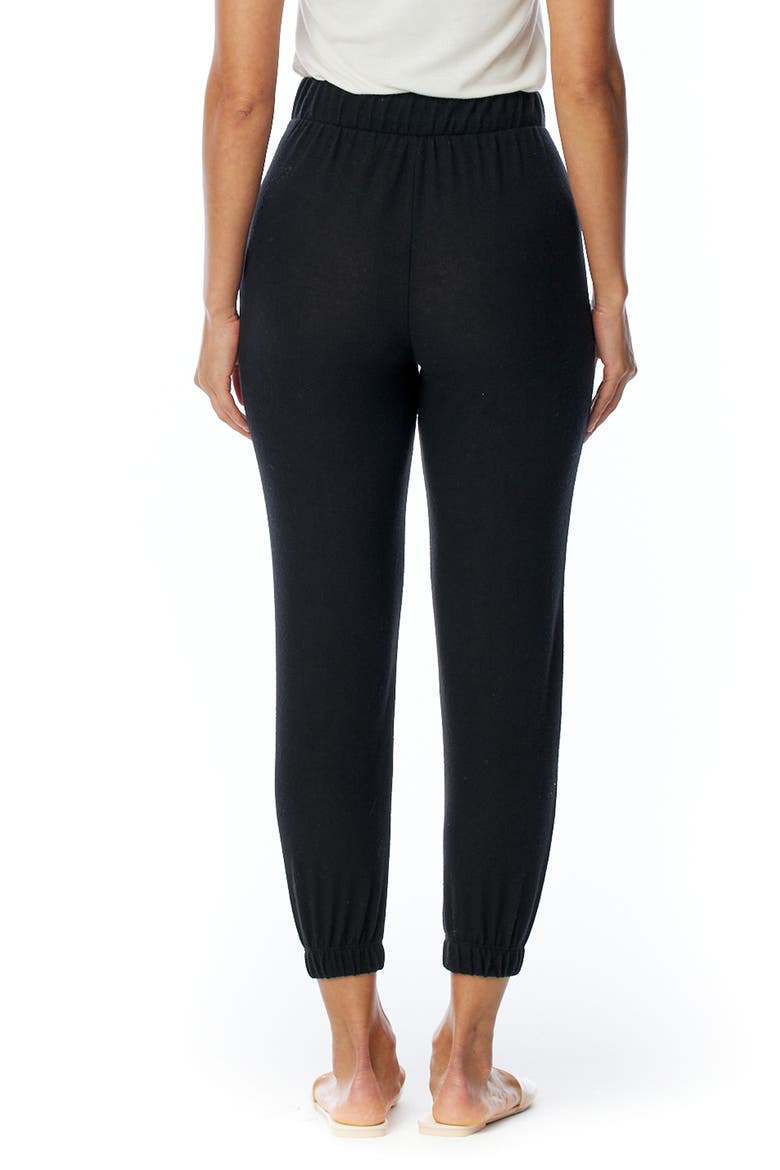 Erza Cozy Jogger Pants, Alternate, color, BLACK