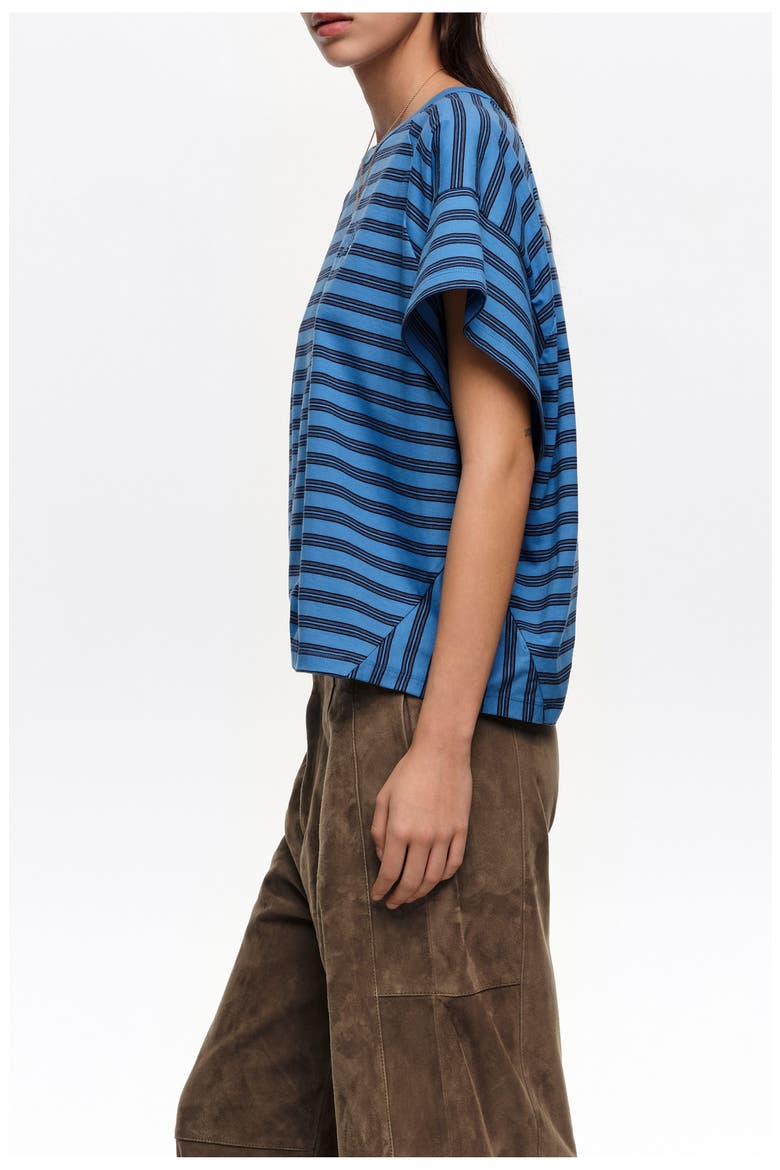 Striped Cropped T-shirt With Embroidered Logo, Alternate, color, BLUE