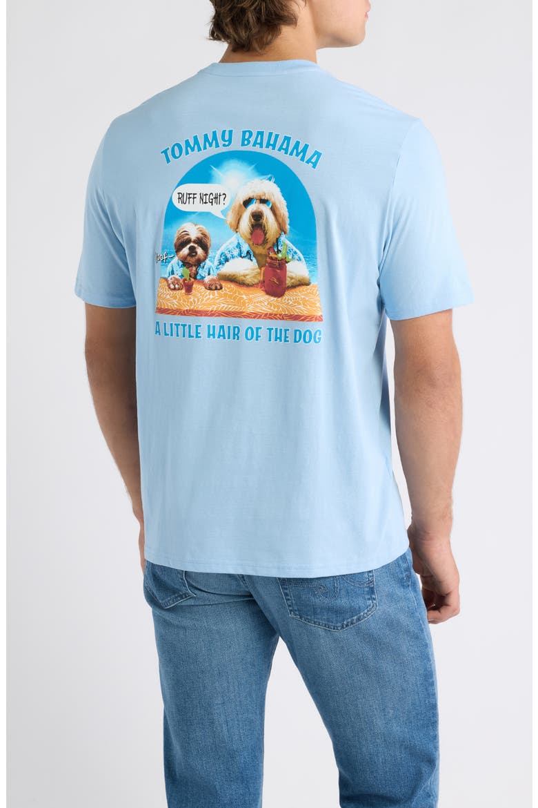 A Little Hair of the Dog Graphic T-shirt, Alternate, color, SEABANK SKY