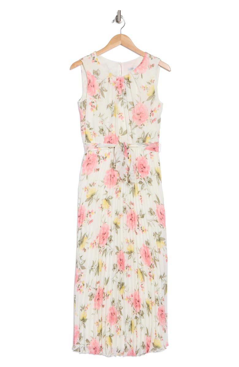 SANDRA DARREN Floral Sleeveless Pleated Maxi Dress, Alternate, color,