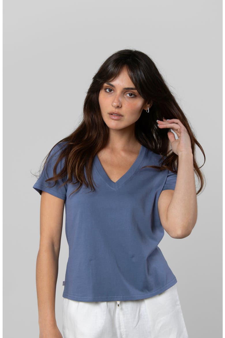 Supima V-Neck, Alternate, color, Sky