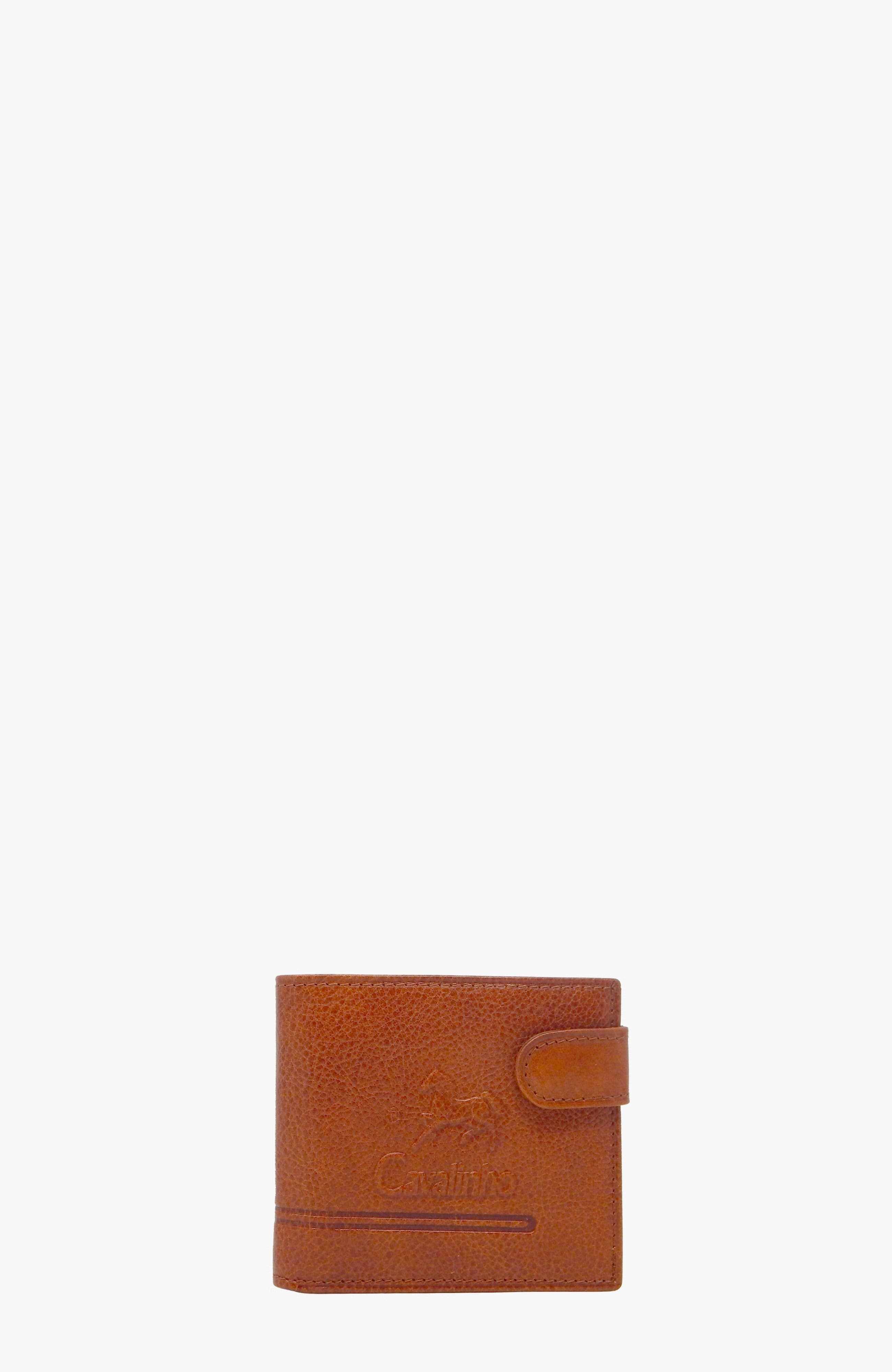 Camel Brown